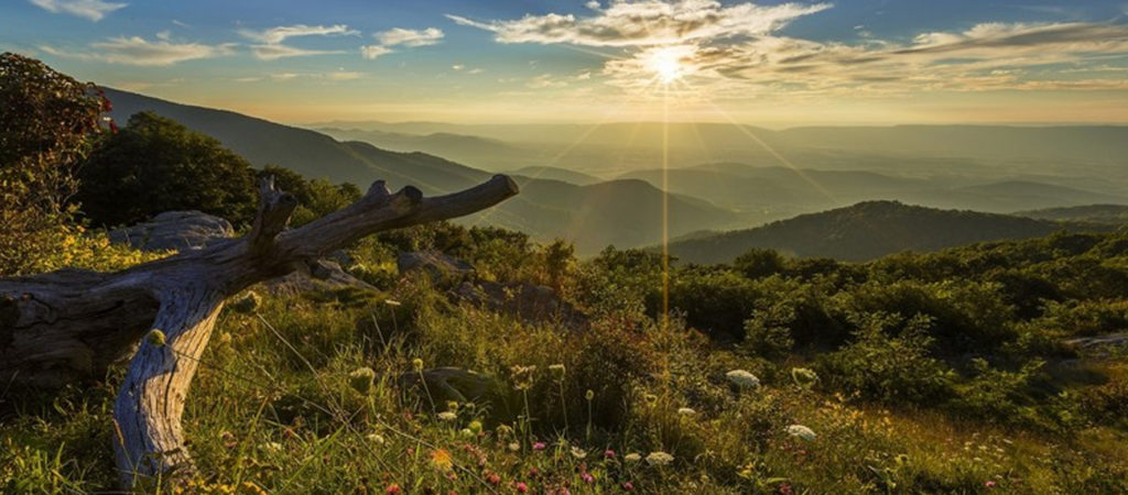 Tourism Marketing photo