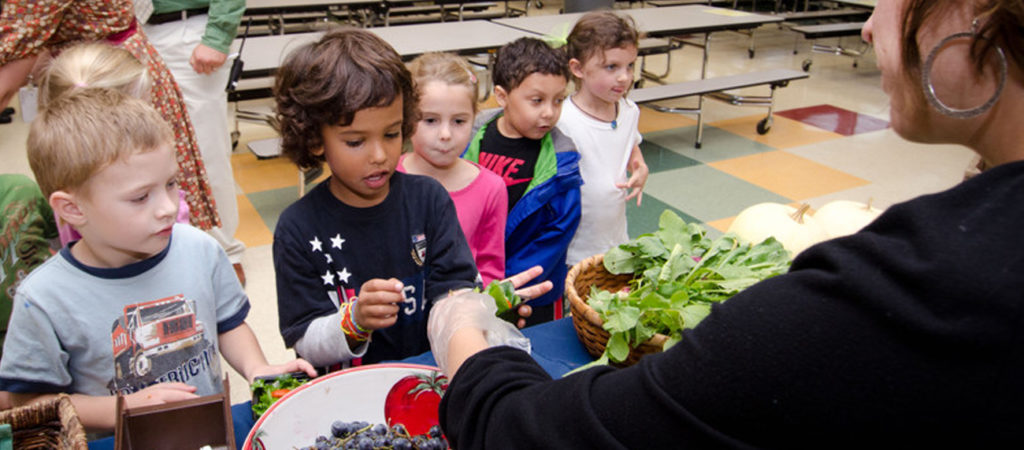 free summer meals image