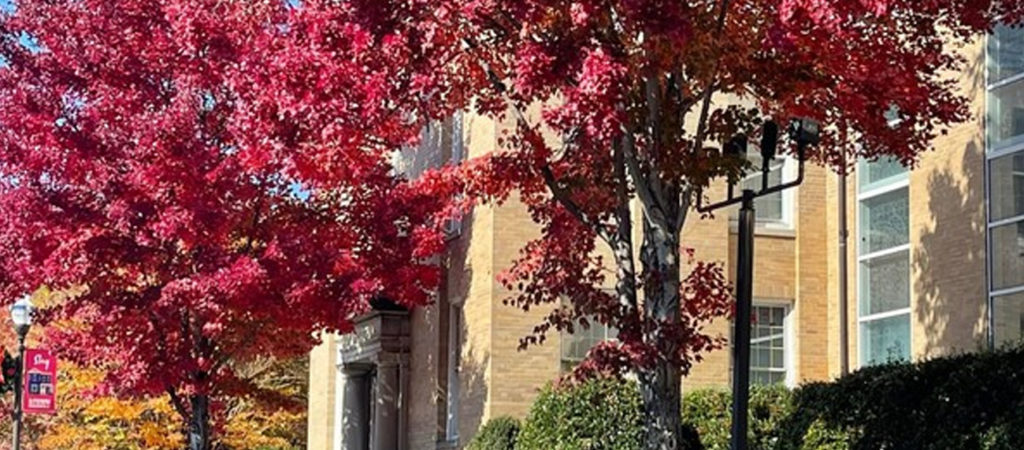 fall in Uptown Martinsville