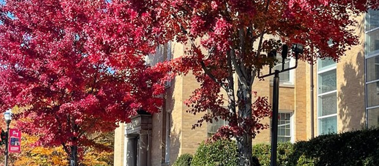 fall in Uptown Martinsville