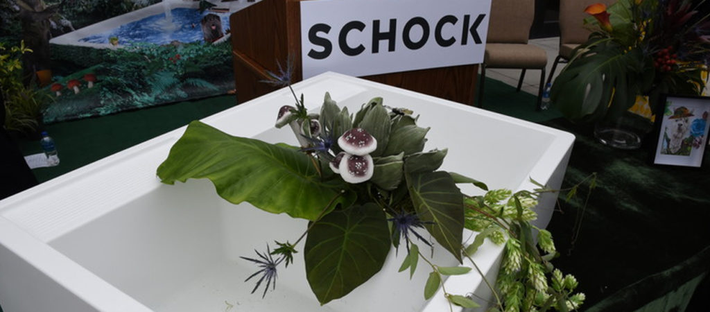 Schock sink products